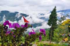 WhatsApp-Image-2025-07-01-at-09.12.35_b2d33dc3