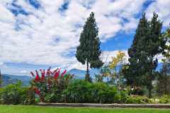 WhatsApp-Image-2025-07-01-at-09.12.36_7cb5e0d0